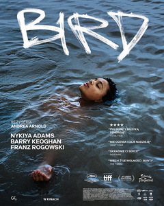 Bilety na wydarzenie - BIRD 2D napisy, Gołdap