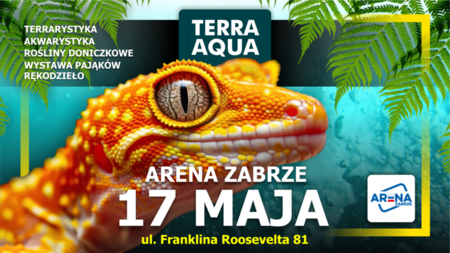 Grafika reklamowa
