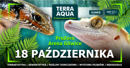Grafika reklamowa