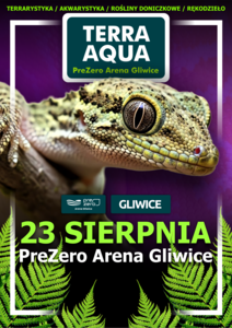 Grafika reklamowa