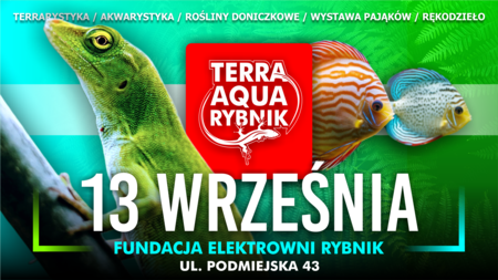 Grafika reklamowa