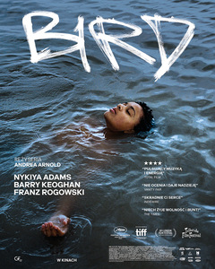 Bilety na wydarzenie - Bird, Lublin