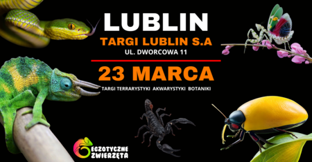 Bilety na wydarzenie - LUBLIN 23 MARCA - EGZOTYCZNE ZWIERZĘTA TERRARYSTYKA AKWARYSTYKA BOTANIKA, Lublin