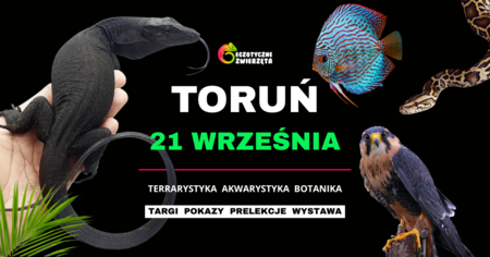 Bilety na wydarzenie - TORUŃ 21 WRZEŚNIA - Egzotyczne Zwierzęta - TERRARYSTYKA AKWARYSTYKA BOTANIKA i wiele więcej, Toruń