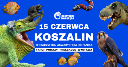 Bilety na wydarzenie - KOSZALIN 15 CZERWCA - Egzotyczne Zwierzęta - TERRARYSTYKA AKWARYSTYKA BOTANIKA i wiele więcej, Koszalin