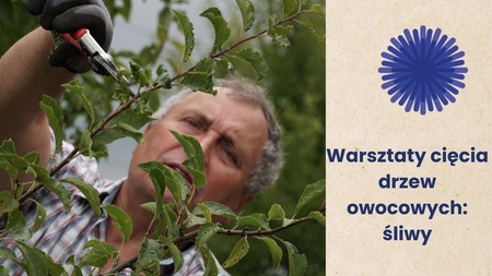 Grafika reklamowa