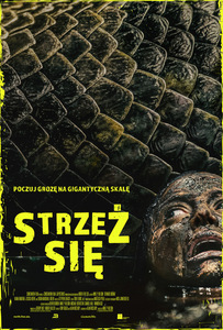 Grafika reklamowa