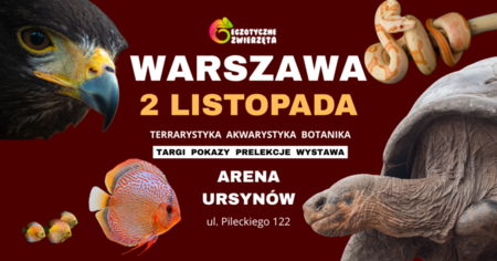 Bilety na wydarzenie - WARSZAWA 2 LISTOPADA - Egzotyczne Zwierzęta - TERRARYSTYKA AKWARYSTYKA BOTANIKA i wiele więcej, Warszawa