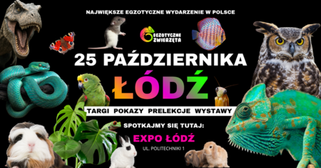 Grafika reklamowa