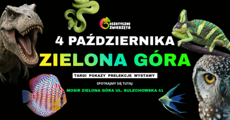 Grafika reklamowa