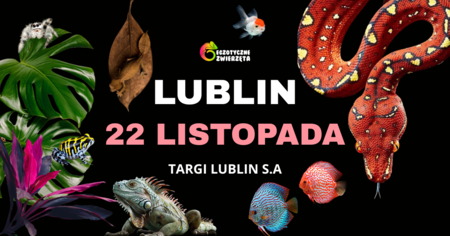 Grafika reklamowa
