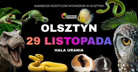 Grafika reklamowa