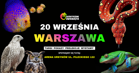 Grafika reklamowa