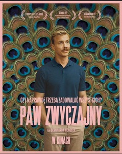 Bilety na wydarzenie - PAW ZWYCZAJNY, Poznań