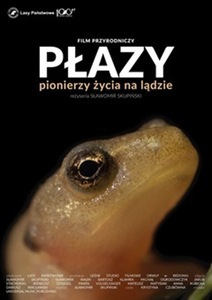 Grafika reklamowa