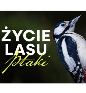 Grafika reklamowa