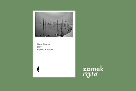 Na zielonym tle biała okładka książki z czarno- białym zdjęciem u góry. A na nim zimowy krajobraz. Zaśnieżone, zalane pole w oddali kikuty drzew. Pod zdjęciem napis Marta Tomczok, Blizny, Krajobraz po przemyśle. Obok okładki logo zamek czyta