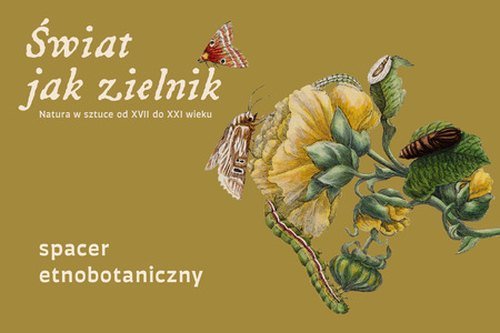 Oliwkowe tło z ilustracją nawiązującą do dawnych atlasów przyrodniczych. Na niej żółte kwiaty, liście, gąsienice, oraz motyle. U góry tytuł Świat jak zielnik. Natura w sztuce od XVII do XXI wieku. U dołu napis spacer etnobotaniczny.