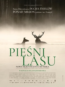 Grafika reklamowa