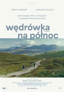 Grafika reklamowa