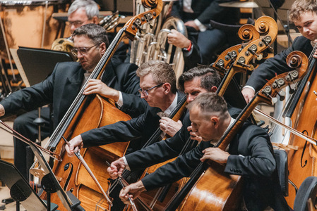 Bilety na wydarzenie - Koncert kameralny / Basowi wirtuozi, Katowice