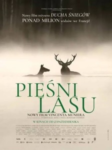 Grafika reklamowa