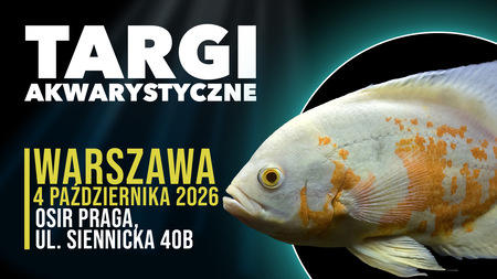 Grafika reklamowa