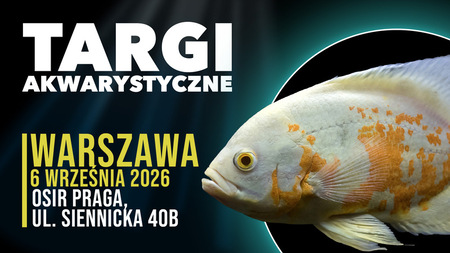 Grafika reklamowa