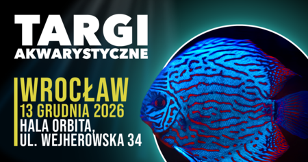 Grafika reklamowa