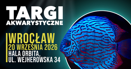 Grafika reklamowa