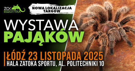 Bilety na wydarzenie - WYSTAWA PAJĄKÓW Łódź, Łódź