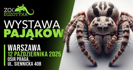 Bilety na wydarzenie - WYSTAWA PAJĄKÓW Warszawa, Warszawa