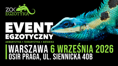 Grafika reklamowa