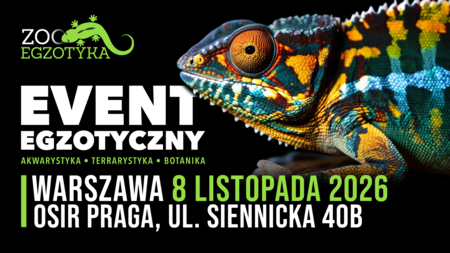 Grafika reklamowa