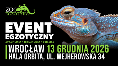Grafika reklamowa