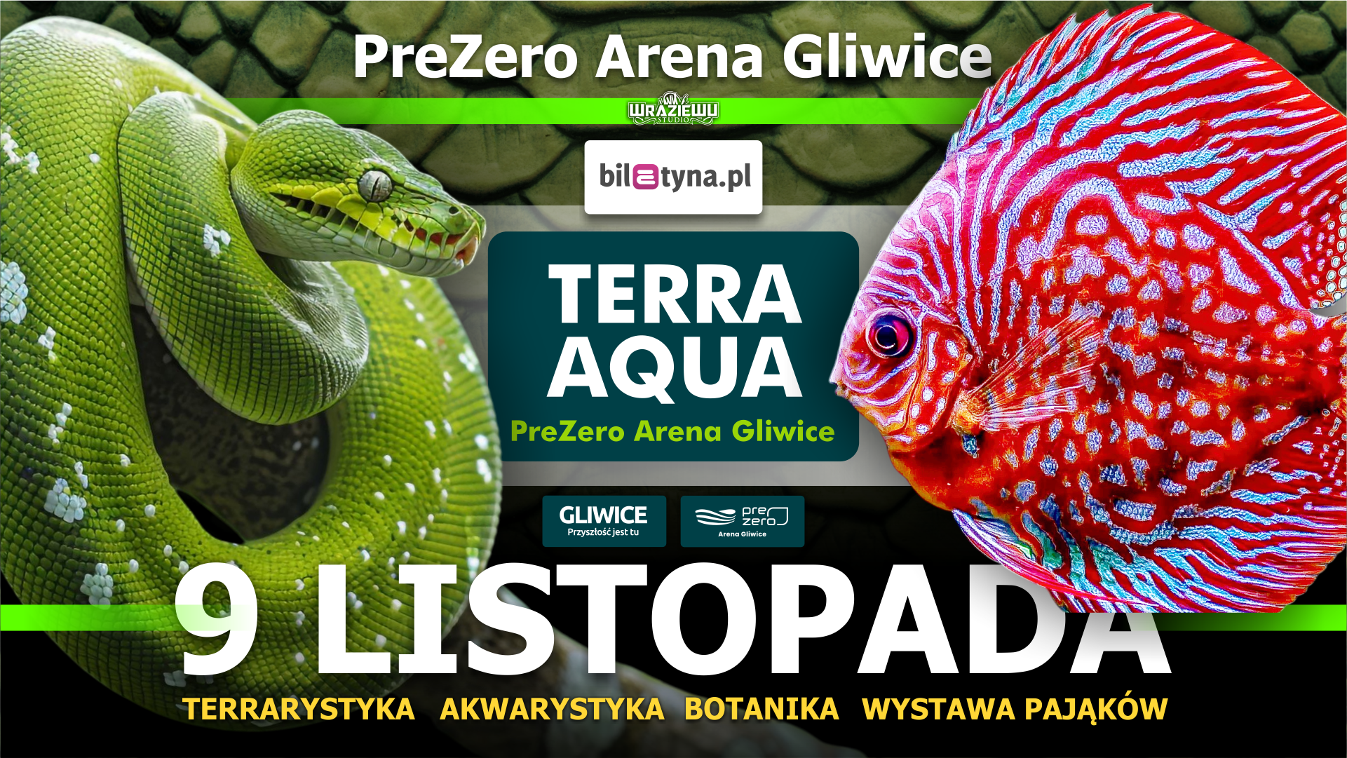 Arena Gliwice