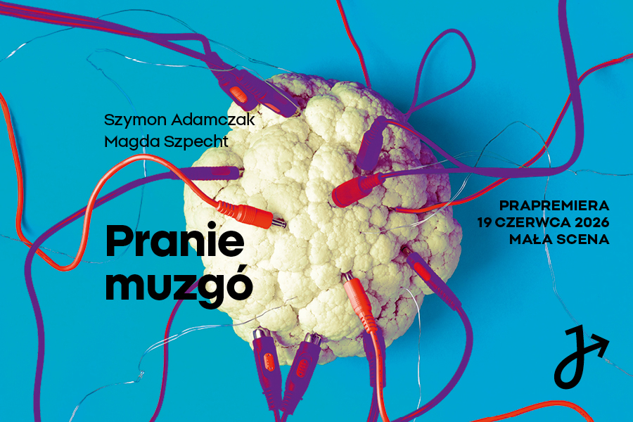 PRANIE MUZGÓ — Teatr im. Stefana Jaracza w Łodzi, Lodž