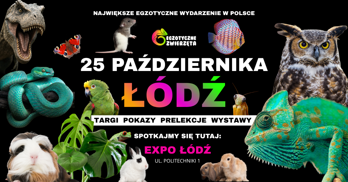 ŁÓDŹ 25 PAŹDZIERNIKA - EGZOTYCZNE ZWIERZĘTA