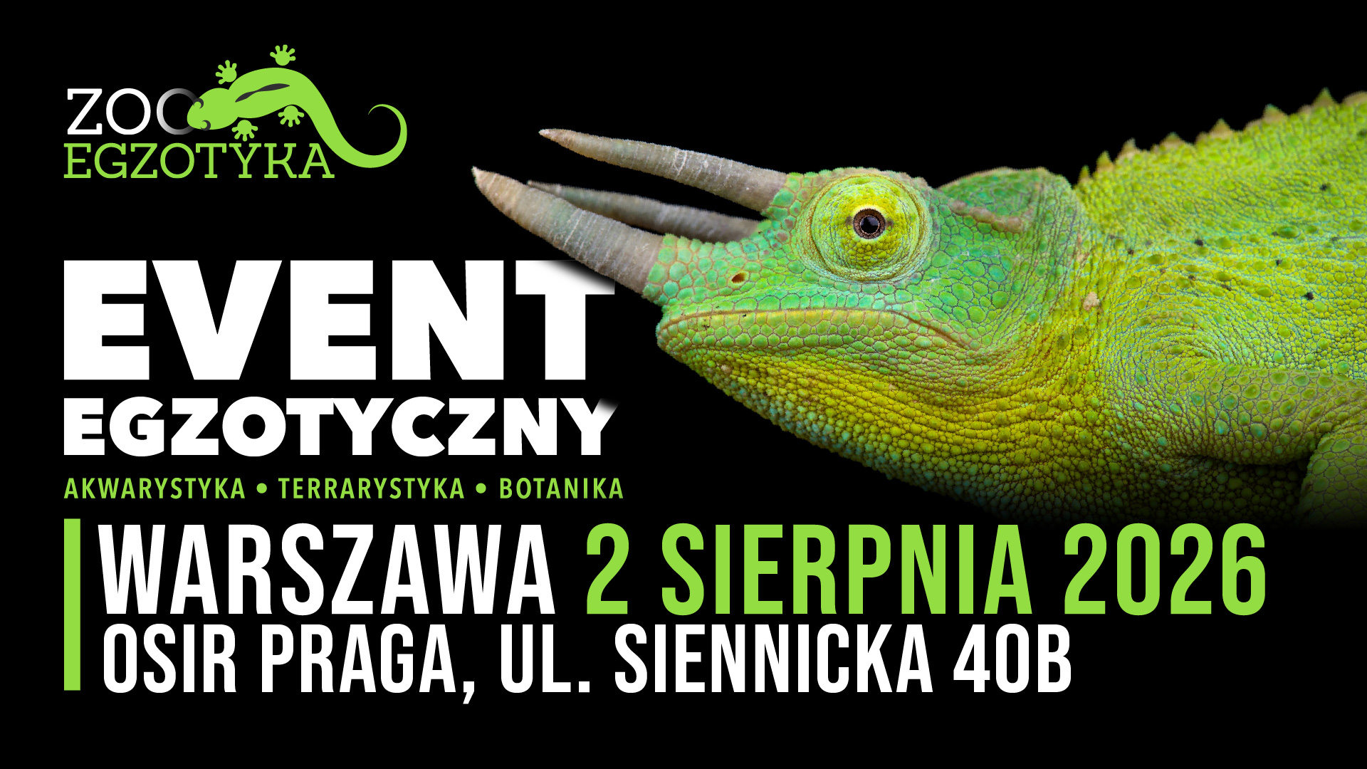 ZooEgzotyka Warszawa
