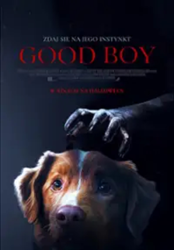 Slider - Film: GOOD BOY