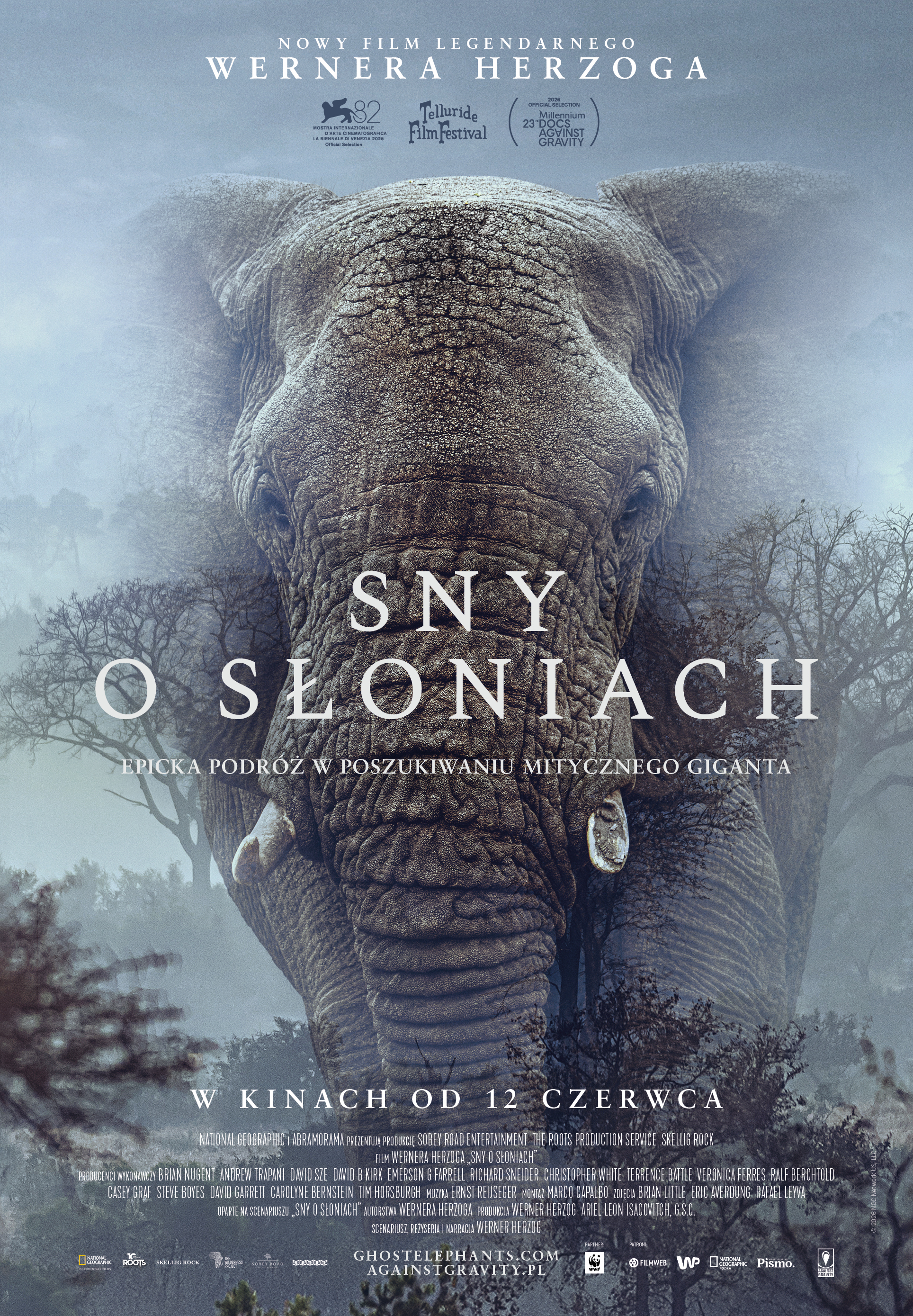 Slider - Film: Niedziela z Dokumentem: Sny o słoniach