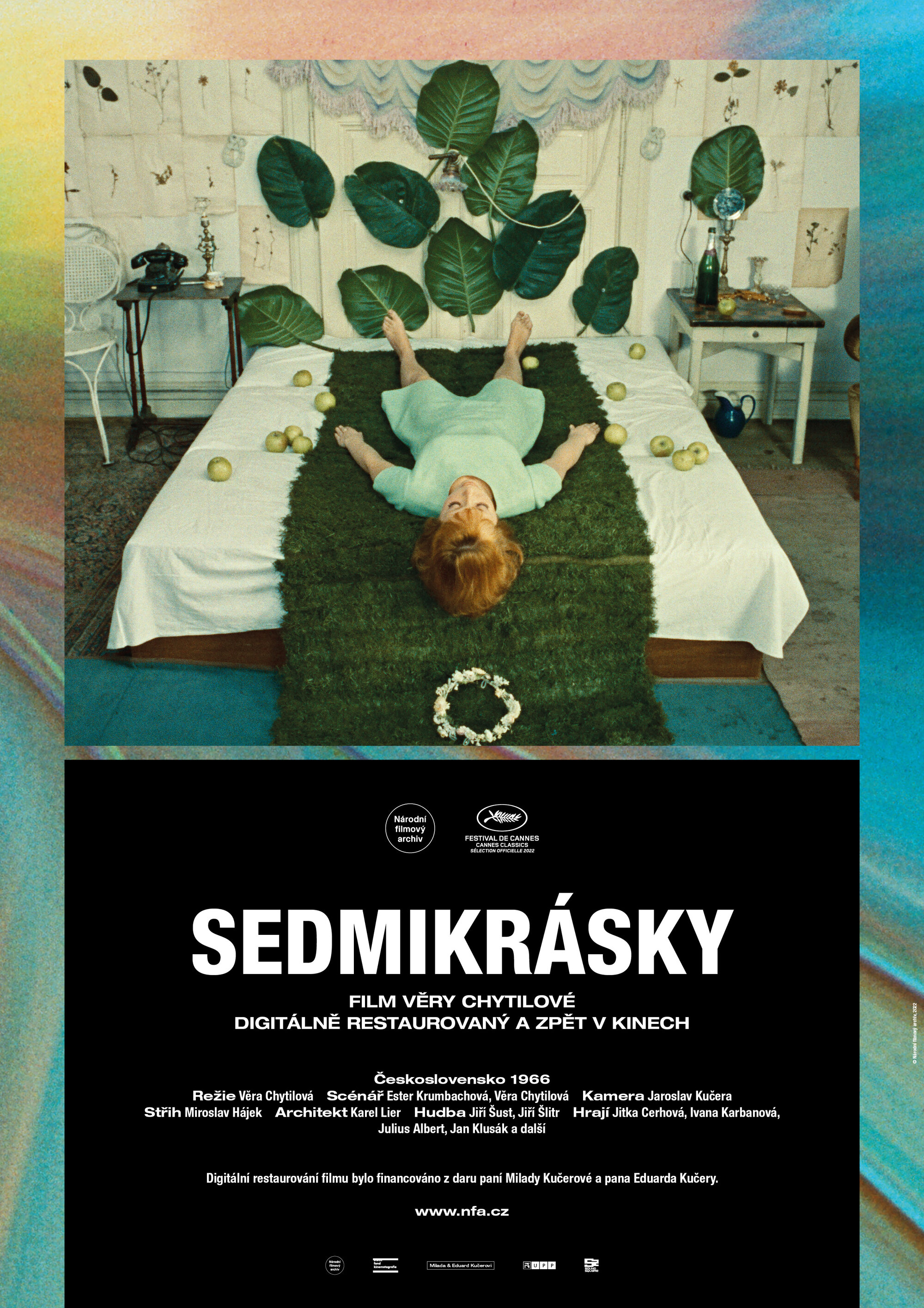 Slider - Film: Lekcje Filmowe - Stokrotki