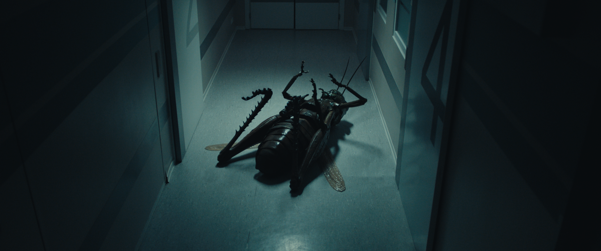 Slider - Film: CKF#3 POCAŁUNEK PASIKONIKA | THE KISS OF THE GRASSHOPPER