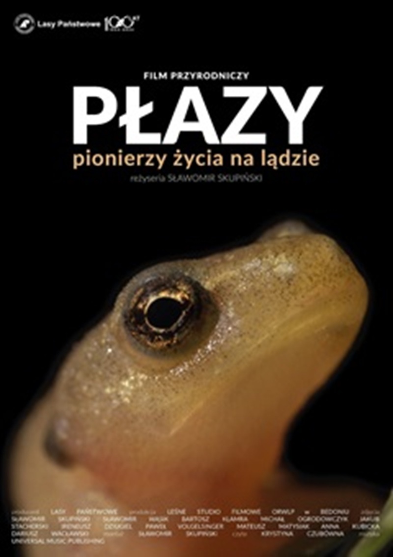 Slider - Film: Leśne studio filmowe: PŁAZY. PIONIERZY ŻYCIA NA LĄDZIE