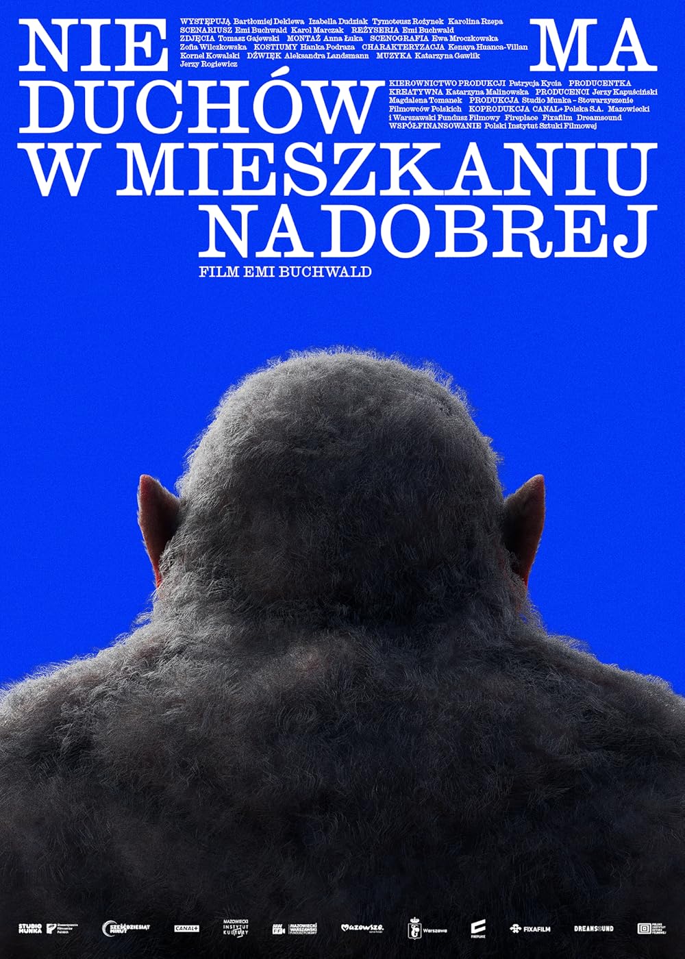 Slider - Film: PRZEDPREMIERA: Nie ma duchów w mieszkaniu na Dobrej