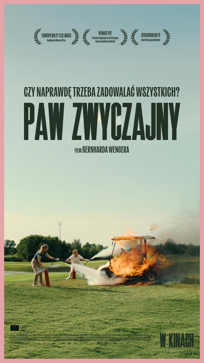 Paw zwyczajny