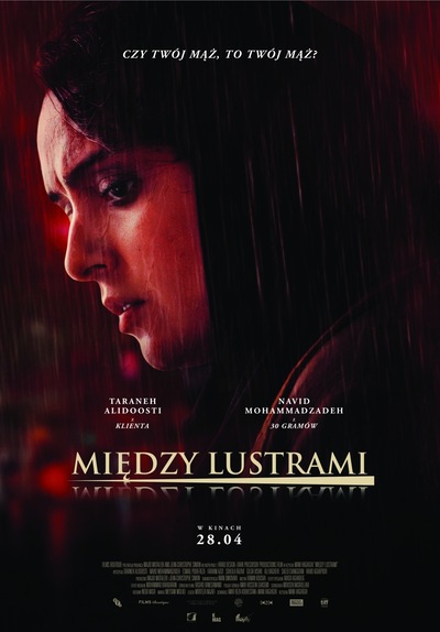 DKF - Między lustrami