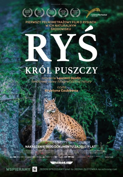 DKF- Ryś. Król puszczy
