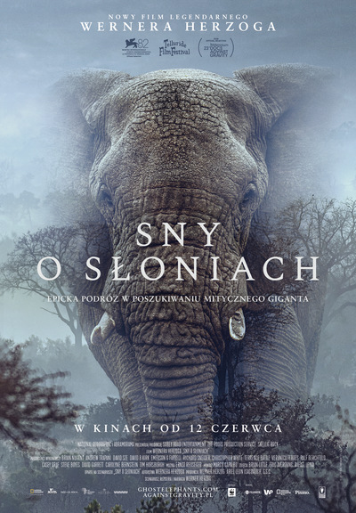 Grafika reklamowa