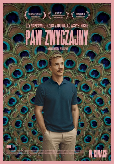 PRZEDPREMIERA: Paw zwyczajny